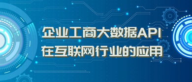 企業(yè)工商大數(shù)據(jù)API在互聯(lián)網(wǎng)銷售行業(yè)中的革新應(yīng)用